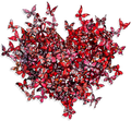 My Heart Is All a Flutter - Red