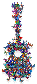 Butterfly Guitar Making Beautiful Music