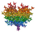 My Heart Is All a Flutter - Pride